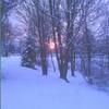 thomascjoseph49